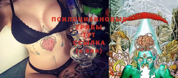 гидра Ладушкин